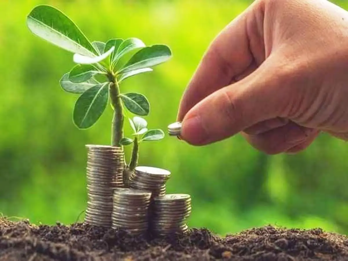 Agro Business
