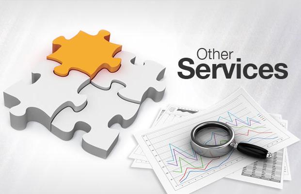 Other Services
